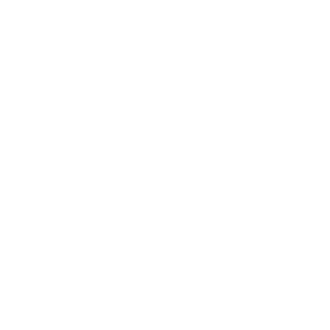 BootstrapBrain Logo